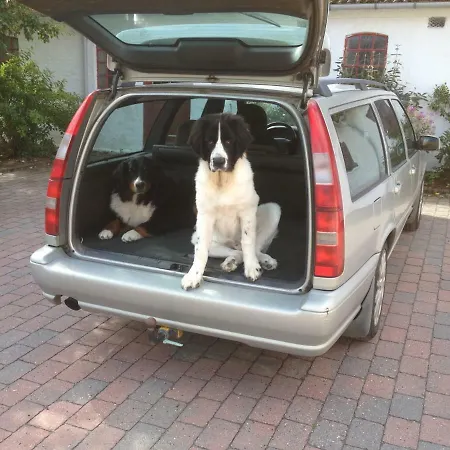 Bed & Breakfast Korshojgards Bed Og Breakfast